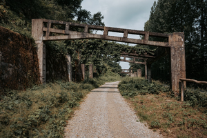 Traitement punaises de lit Chemillé-en-Anjou